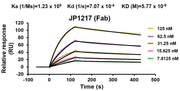 Anti-Human VMAT2 Antibody (JP1217) in ELISA Assay