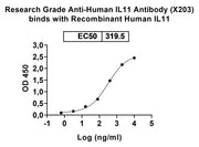 IL11, N-His, recombinant protein in ELISA Assay