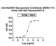 InVivoMAb Anti-HeV/NiV Glycoprotein G Antibody (HENV-117) in ELISA Assay