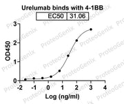 CD137 Recombinant Protein