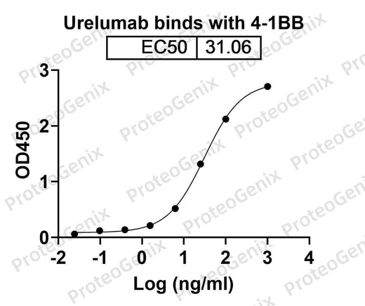 CD137 Recombinant Protein