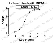 CD158a/KIR2DL1, C-His, recombinant protein