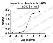 Ieramilimab Biosimilar - Anti-LAG3 mAb binds to CD223 Recombinant Protein in indirect ELISA Assay