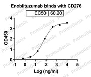 CD276 Recombinant Protein