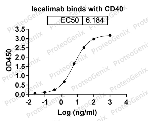 Iscalimab Biosimilar - Anti-CD40, TNFRSF5 mAb binds to CD40 Recombinant Protein in indirect ELISA Assay