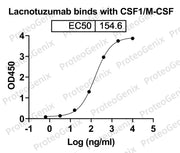 Lacnotuzumab Biosimilar - Anti-CSF1, MCSF mAb binds to CSF1 / M-CSF (in Mammalian), N-His, recombinant protein in indirect ELISA Assay