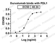 Durvalumab Biosimilar - Anti-PD-L1 mAb binds to Human PDL1, B7-H1, CD274 recombinant protein in indirect ELISA Assay