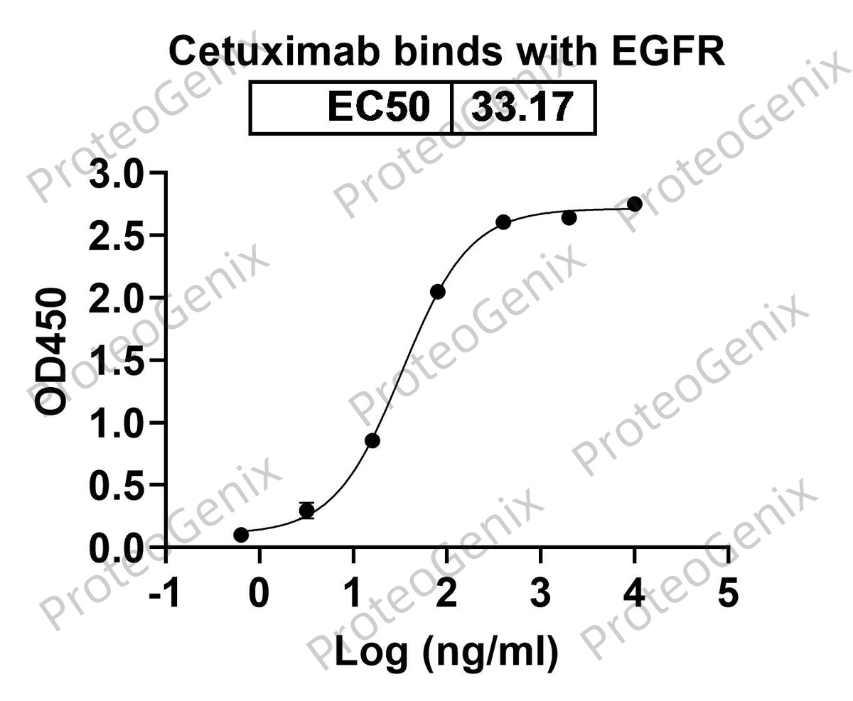 Cetuximab Biosimilar - Anti-hEGFR mAb binds to EGFR protein - Epidermal Growth Factor proteins receptor(EGFR) in indirect ELISA Assay