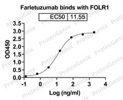 Farletuzumab Biosimilar - Anti-FOLR1 mAb binds to FOLR1 recombinant protein in indirect ELISA Assay