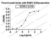 Foravirumab Biosimilar - Anti-G;Glycoprotein mAb - Research Grade binds to Rabies virus/RABV G/Glycoprotein recombinant protein in ELISA assay