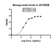 Bimagrumab Biosimilar - Anti-ACVR2A, ACVR2B mAb - Research Grade binds to ACVR2B in indirect ELISA Assay
