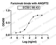 Human ANGPT2-Ang2 recombinant protein binds to Faricimab Biosimilar - Anti-ANGPT2, VEGFA mAb in indirect ELISA Assay