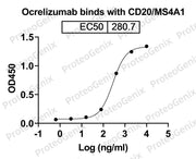 Ocrelizumab Biosimilar - Anti-MS4A1, CD20 mAb binds to Human CD20/MS4A1 recombinant protein in indirect ELISA Assay