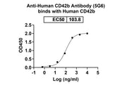 Human CD42b/GP1BA Monoclonal Antibody binds to Human CD42b-GP1BA recombinant protein, C-His Tag in ELISA assay