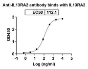 Human CD213a2/IL13RA2 Monoclonal Antibody binds to Human IL13RA2 Recombinant Protein in ELISA assay