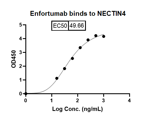 Enfortumab Biosimilar â€“ Anti-PVRL4 mAb â€“ Research Grade binds to Human NECTIN4-PVRL4 recombinant protein in indirect ELISA Assay