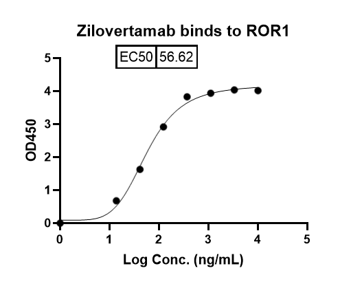 Zilovertamab Biosimilar â€“ Anti-ROR1 mAb â€“ Research Grade binds to Human ROR1 recombinant protein in indirect ELISA Assay