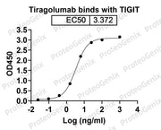 Tiragolumab Biosimilar - Anti-TIGIT, VSIG9, VSTM3 mAb binds to Human T-cell immunoreceptor with Ig and ITIM domains (TIGIT) recombinant protein in indirect ELISA Assay