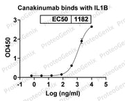 IL1B / IL1F2, C-His, recombinant protein binds to Canakinumab Biosimilar - Anti-IL1B mAb in indirect ELISA assay