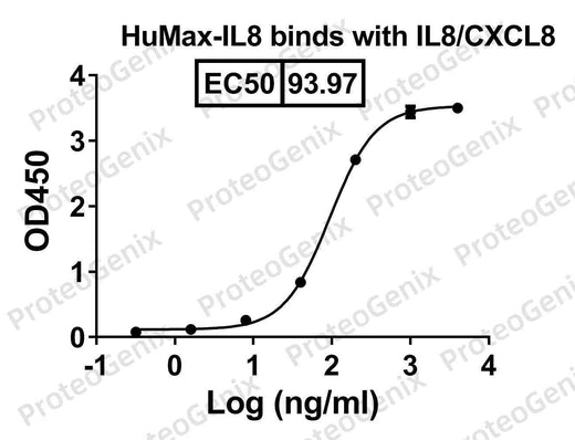 IL8/CXCL8, C-His, recombinant protein