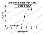 Dupilumab Biosimilar - Anti-IL4R, CD124 mAb binds to Interleukin-4 receptor subunit alpha(IL4R) in indirect ELISA Assay