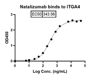 Natalizumab Biosimilar - Anti-ITGA4, CD49d mAb - Research Grade binds to Human ITGA4 recombinant protein in indirect ELISA Assay