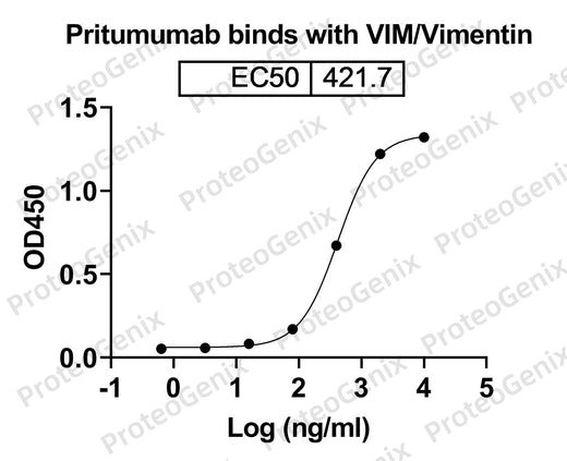 Pritumumab Biosimilar - Anti-VIM mAb binds to VIM / Vimentin, N-His, recombinant protein in indirect ELISA Assay