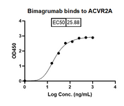 Bimagrumab Biosimilar- Anti-ACVR2A, ACVR2B mAb- Research Grade binds to ACVR2A in indirect ELISA Assay