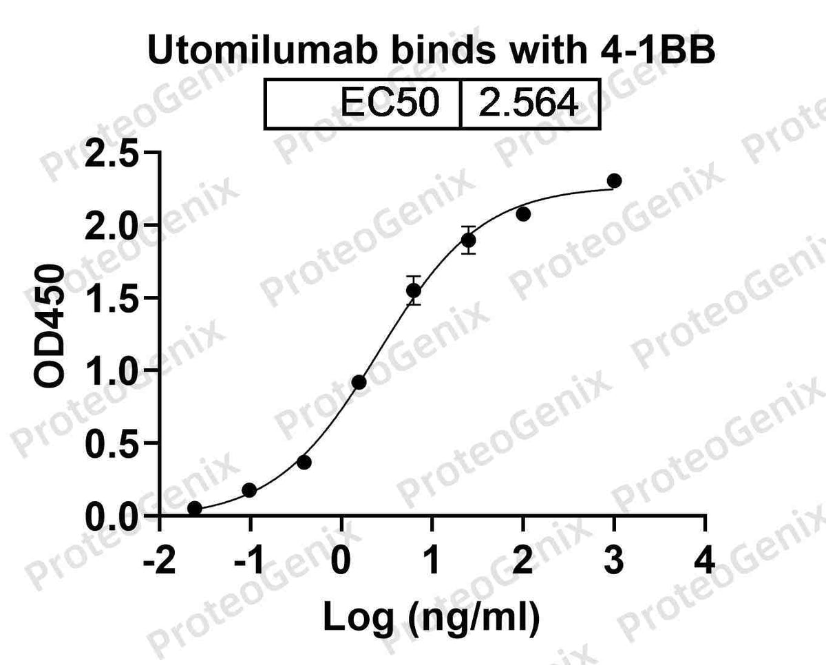 CD137 Recombinant Protein