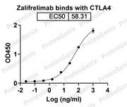 Zalifrelimab Biosimilar - Anti-CD152;CTLA4 mAb - Research Grade binds to CD152 Recombinant Protein in ELISA assay