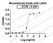 Favezelimab Biosimilar - Anti-LAG3 mAb - Research Grade binds to CD223 Recombinant Protein in ELISA assay