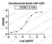 CD340 Recombinant Protein binds to Zanolimumab Biosimilar - Anti-CD4 mAb in indirect ELISA assay