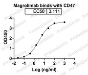 Magrolimab Biosimilar - Anti-CD47 mAb - Research Grade binds to CD47 Recombinant Protein (Human) in ELISA assay