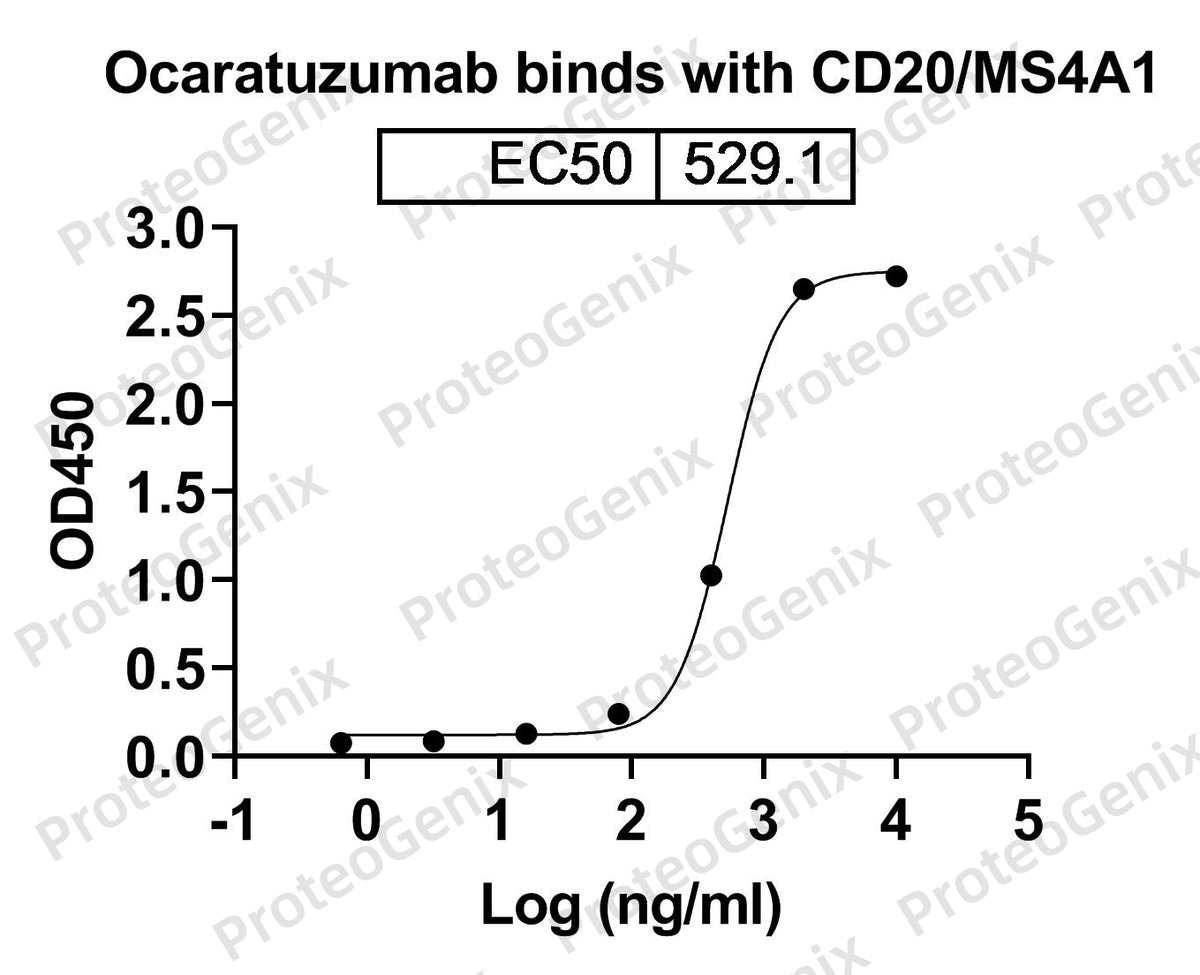Ocaratuzumab Biosimilar - Anti-MS4A1, CD20 mAb binds to Human CD20/MS4A1 recombinant protein in indirect ELISA Assay