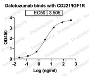 Dalotuzumab Biosimilar - Anti-IGF1R, CD221 mAb - Research Grade binds to IGF1R recombinant protein in ELISA assay