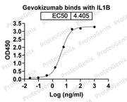 IL1B / IL1F2, C-His, recombinant protein binds to Gevokizumab Biosimilar - Anti-IL1B mAb in indirect ELISA assay