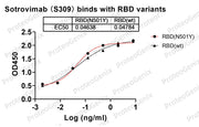 Sotrovimab Biosimilar - Anti-Spike glycoprotein mAb binds to RBD Domain in Indirect ELISA Assay