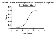 Detects Monkeypox virus/MPXV M1R in direct ELISAs