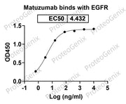 Matuzumab Biosimilar - Anti-EGFR mAb binds to EGFR protein - Epidermal Growth Factor proteins receptor(EGFR) in indirect ELISA Assay