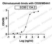 Obinutuzumab Biosimilar - Anti-MS4A1, CD20 mAb - Research Grade binds to Human CD20/MS4A1 recombinant protein in ELISA assay