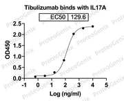 Tibulizumab Biosimilar - Anti-IL17A, TNFSF13B, CD257 mAb - Research Grade binds to IL17A, C-His, recombinant protein in ELISA assay