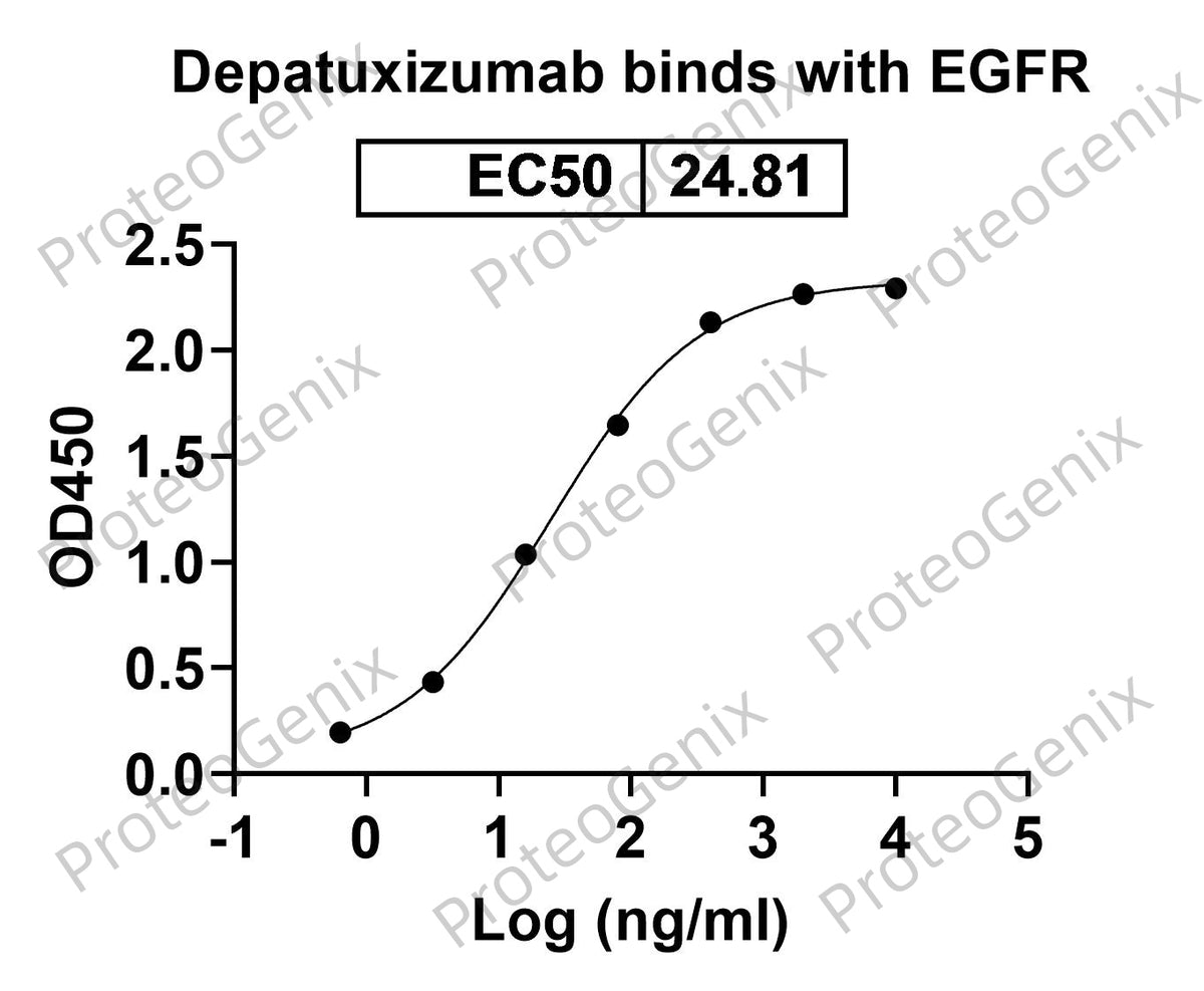 Depatuxizumab Biosimilar - Anti-EGFR mAb binds to EGFR protein - Epidermal Growth Factor proteins receptor(EGFR) in indirect ELISA Assay