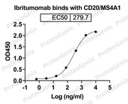 Ibritumomab Biosimilar - Anti-MS4A1(CD20,MS4A-1) mAb - Research Grade binds to Human CD20/MS4A1 recombinant protein in ELISA assay