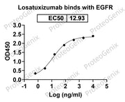 Losatuxizumab Biosimilar - Anti-EGFR mAb binds to EGFR protein - Epidermal Growth Factor proteins receptor(EGFR) in indirect ELISA Assay