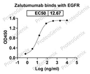 Zalutumumab Biosimilar - Anti-EGFR mAb binds to EGFR protein - Epidermal Growth Factor proteins receptor(EGFR) in indirect ELISA Assay
