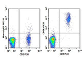 Anti-Human CD24 Antibody [HIQB24] - ABMIUM