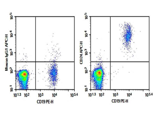 Anti-Human CD24 Antibody [HIQB24] - ABMIUM