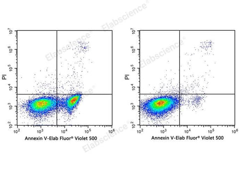 Annexin V-Elab Fluor® Violet 500/PI Apoptosis Kit - ABMIUM