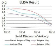 BT LAB manufacturer product image