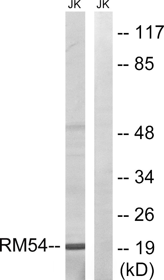 BT LAB manufacturer product image
